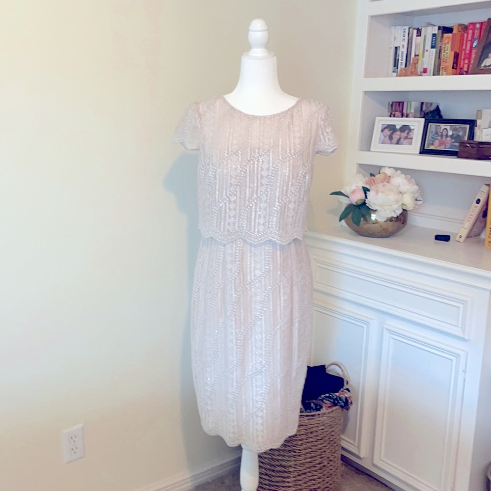 Adrianna Papell Popover Embroidered Dress